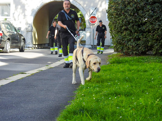 NINJAS.jetzt SALZBURG DUCKS SUPPORTEN