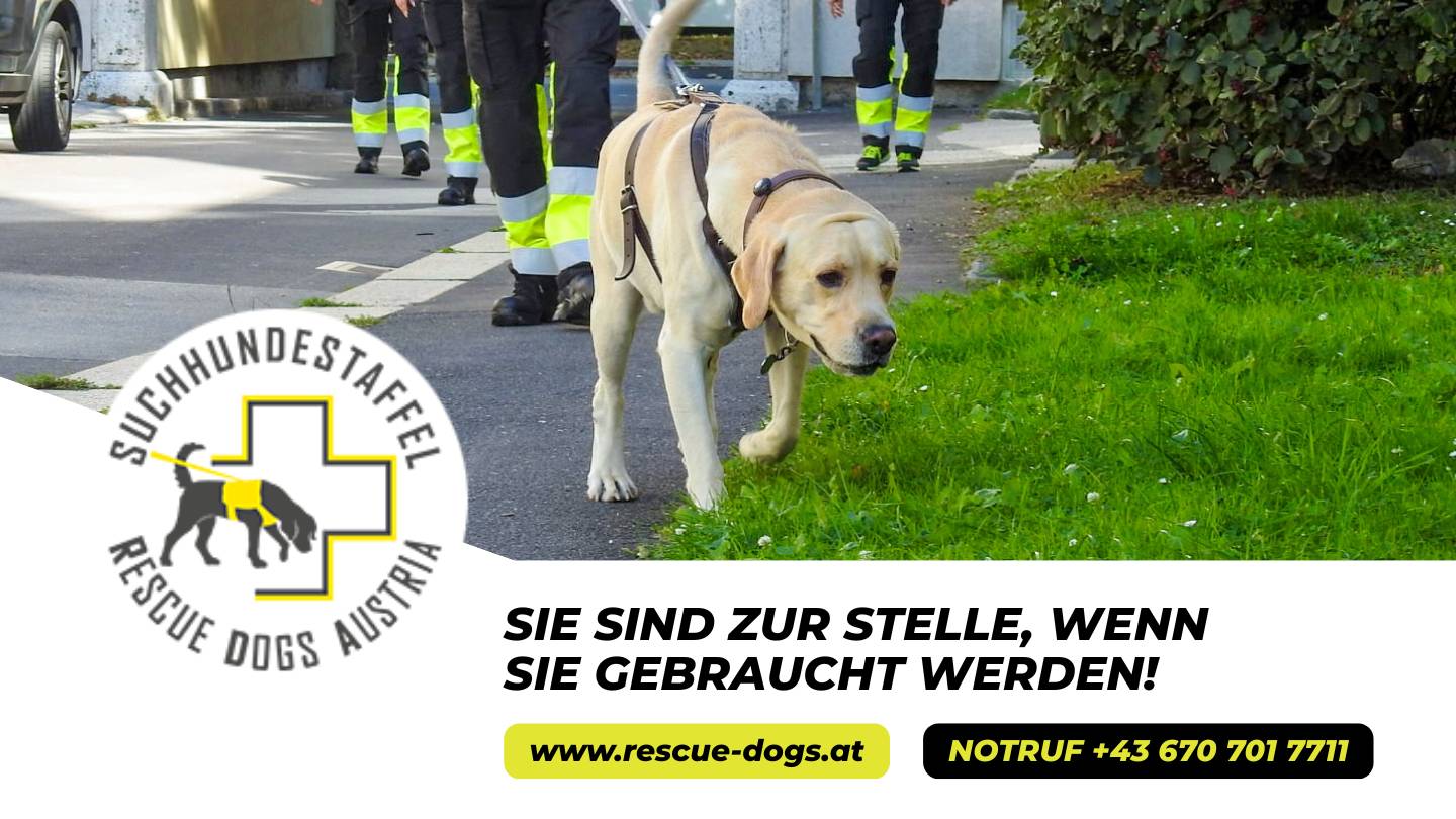 NINJAS.jetzt Charity