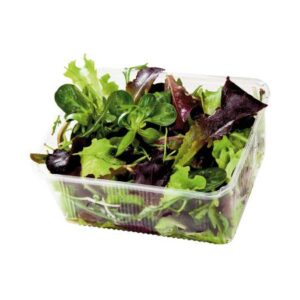 Bio Pflücksalat Mix