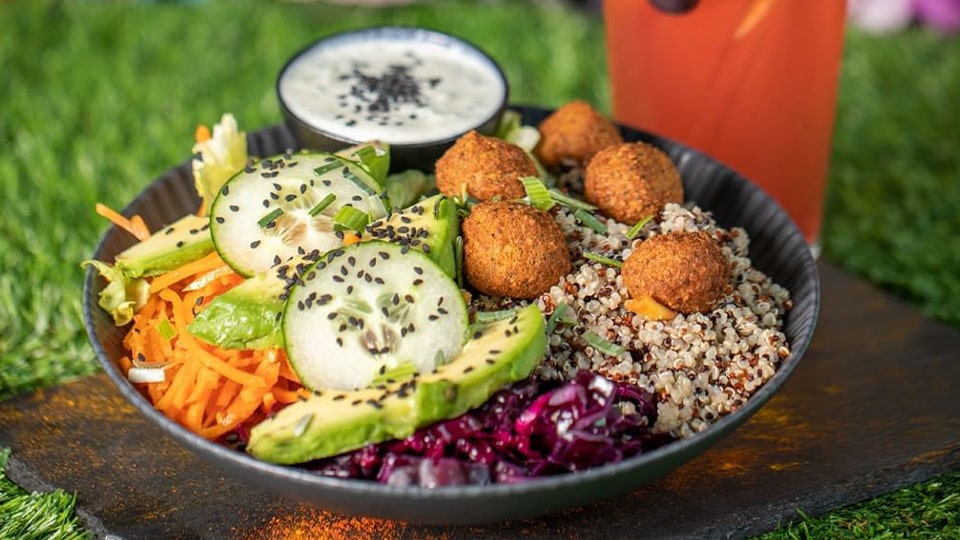Veggiezz X Garden