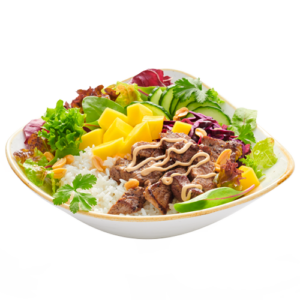 Japanese Beef Bowl