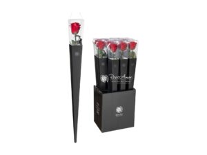 Langstielige Stabilisierte Rose 70cm