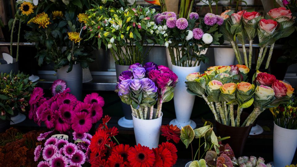 Blumen Schürer