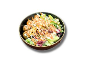 Falafel Fusion Bowl