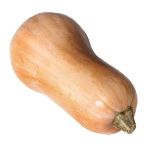 Butternusskürbis
