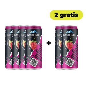 Gasteiner Himbeer Zitrone Dose 4+2 gratis