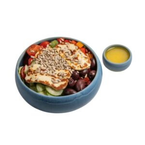 Greek Halloumi Summer Salad (vegetarisch)