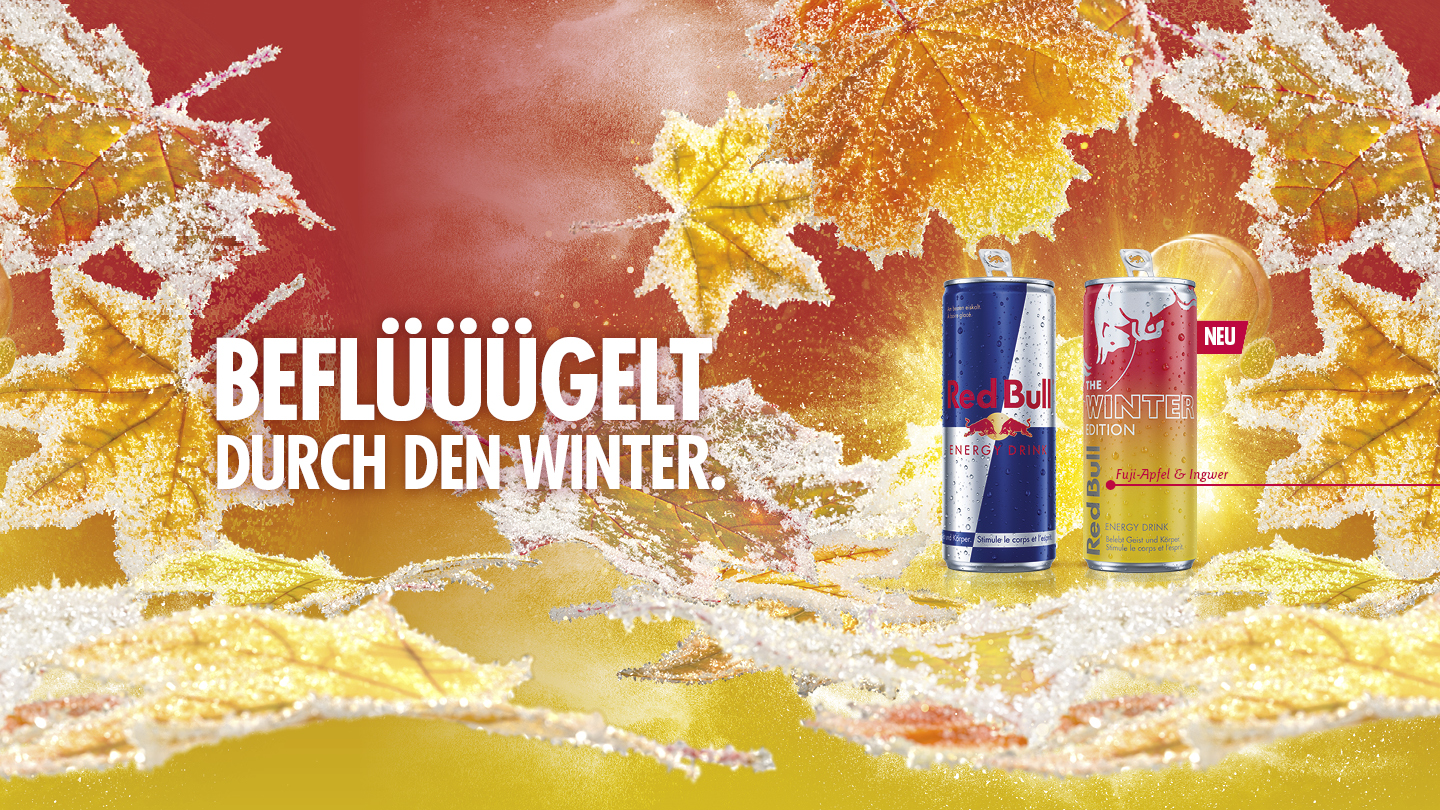 NEU: RED BULL WINTER EDITION 2025