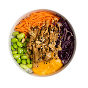 Planted Duck Bowl - NOT SO BIG