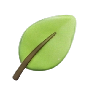 Komplementärmedizin