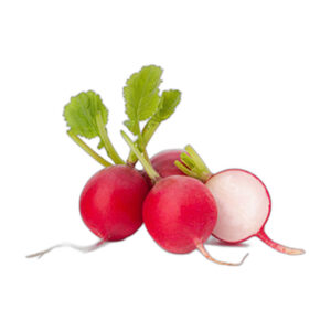 Snack Radieschen