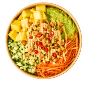 Pulled Chicken Bowl - BIG