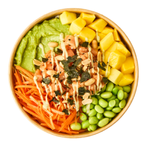 Salmon Wasabi Bowl - BIG