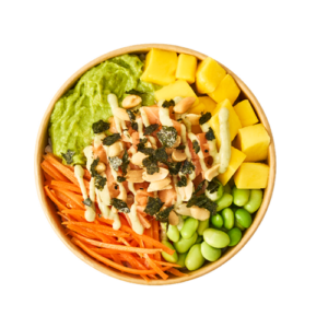 Salmon Wasabi Bowl - NOT SO BIG
