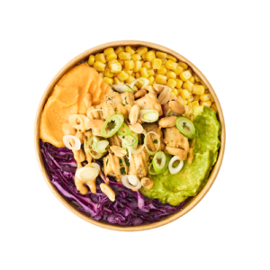 Tofu Teriyaki Bowl - NOT SO BIG