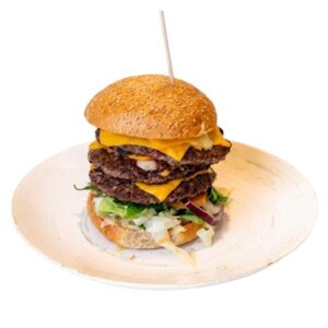 Hayvan Burger