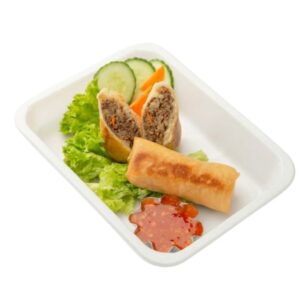 Frühlingsrollen Vegan